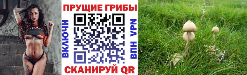 Галлюциногенные грибы Cubensis  Миллерово 